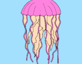Desenho Medusa pintado por smf