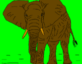 Desenho Elefante pintado por vinicius