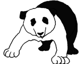 Desenho Urso panda pintado por lucas faturi