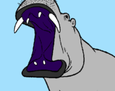 Desenho Hipopótamo com a boca aberta pintado por mmma