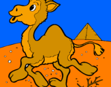Desenho Camelo pintado por BRUNNA LETICÍA