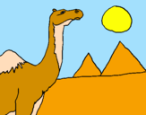 Desenho Camelo pintado por juju