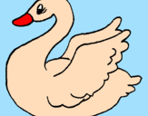 Desenho Cisne pintado por helena
