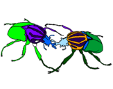 Desenho Escaravelhos pintado por jojo