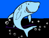 Desenho Tubarão pintado por gui