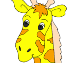 Desenho Cara de girafa pintado por bernardo