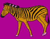 Desenho Zebra pintado por Filipa pereira