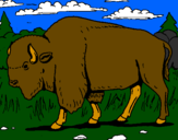 Desenho Búfalo pintado por David
