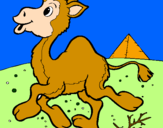Desenho Camelo pintado por sabrina o desenho lindo