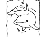 Desenho Golfinho pintado por 1