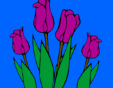 Desenho Tulipa pintado por Lara
