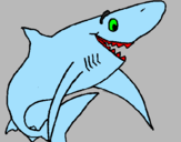 Desenho Tiburão alegre pintado por joao e tubarau