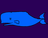 Desenho Baleia azul pintado por sofia