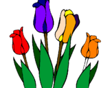 Desenho Tulipa pintado por tulipas