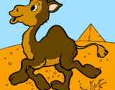 Desenho Camelo pintado por renato