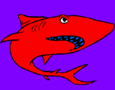 Desenho Tubarão pintado por LAURA