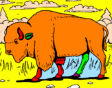 Desenho Búfalo pintado por antonio