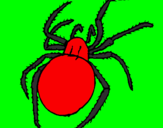 Desenho Aranha venenosa pintado por diogo