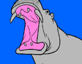 Desenho Hipopótamo com a boca aberta pintado por tar