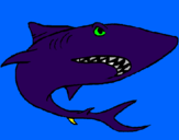 Desenho Tubarão pintado por cio