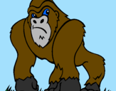 Desenho Gorila pintado por eder