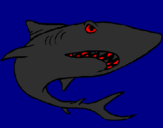 Desenho Tubarão pintado por jose antonio