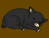 Desenho Porco a dormir pintado por Pietra