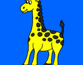 Desenho Girafa pintado por João Canhoto