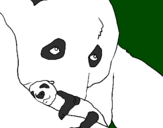 Desenho Urso panda com a sua cria pintado por ana filipa2