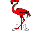 Desenho Flamingo com os pés de molho pintado por joao victor