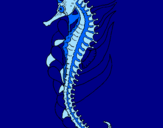 Desenho Cavalo marinho oriental pintado por maria eduarda