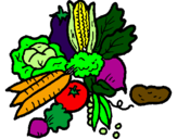 Desenho verduras pintado por Belen