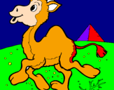 Desenho Camelo pintado por nathan