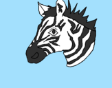 Desenho Zebra II pintado por Beatriz Kowaski