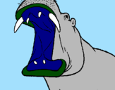 Desenho Hipopótamo com a boca aberta pintado por JAVIER saez     4