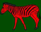 Desenho Zebra pintado por VITUZIIIN