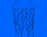 Desenho Medusa pintado por TETE