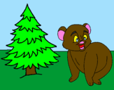 Desenho Urso e abeto pintado por sofia