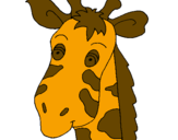 Desenho Cara de girafa pintado por pedro