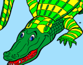 Desenho Crocodilo  pintado por japa