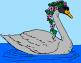 Desenho Cisne com flores pintado por Lalapou