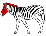 Desenho Zebra pintado por iago
