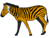 Desenho Zebra pintado por laureti