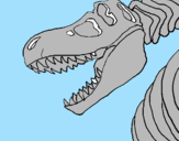 Desenho Esqueleto tiranossauro rex pintado por ry