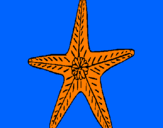 Desenho Estrela do mar pintado por Gabriel