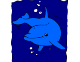 Desenho Golfinho pintado por sarah