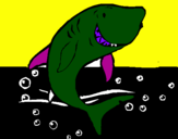 Desenho Tubarão pintado por oiiiiiiiiiiiiiiiiiiiiiiii