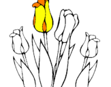Desenho Tulipa pintado por miguel