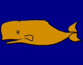 Desenho Baleia azul pintado por susana rito