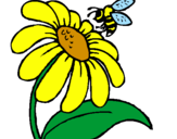 Desenho Margarida com abelha pintado por Giovanna